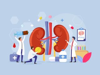What Treatment Can You Expert from Kidney Stone Specialist in Varanasi
