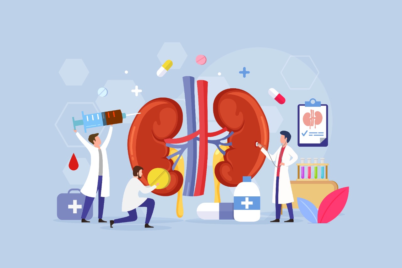 What Treatment Can You Expert from Kidney Stone Specialist in Varanasi